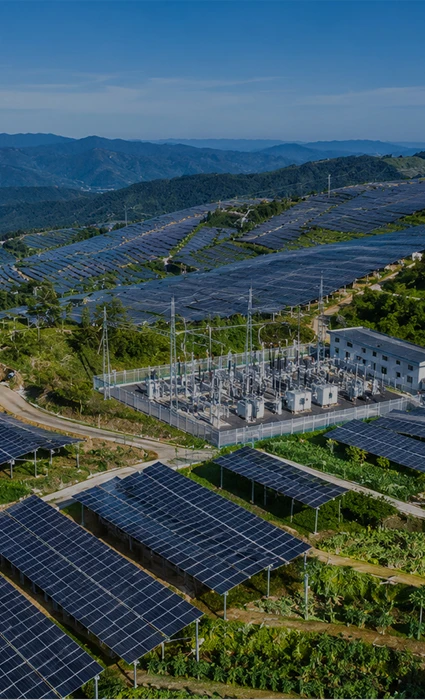 100MW Agricultural-Solar Complementary Photovoltaic Power Generation Project