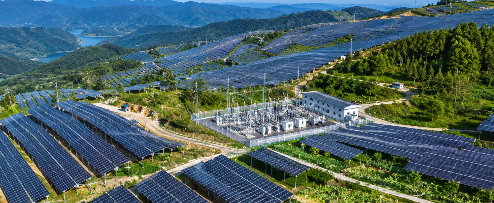 100MW Agricultural-Solar Complementary Photovoltaic Power Generation Project